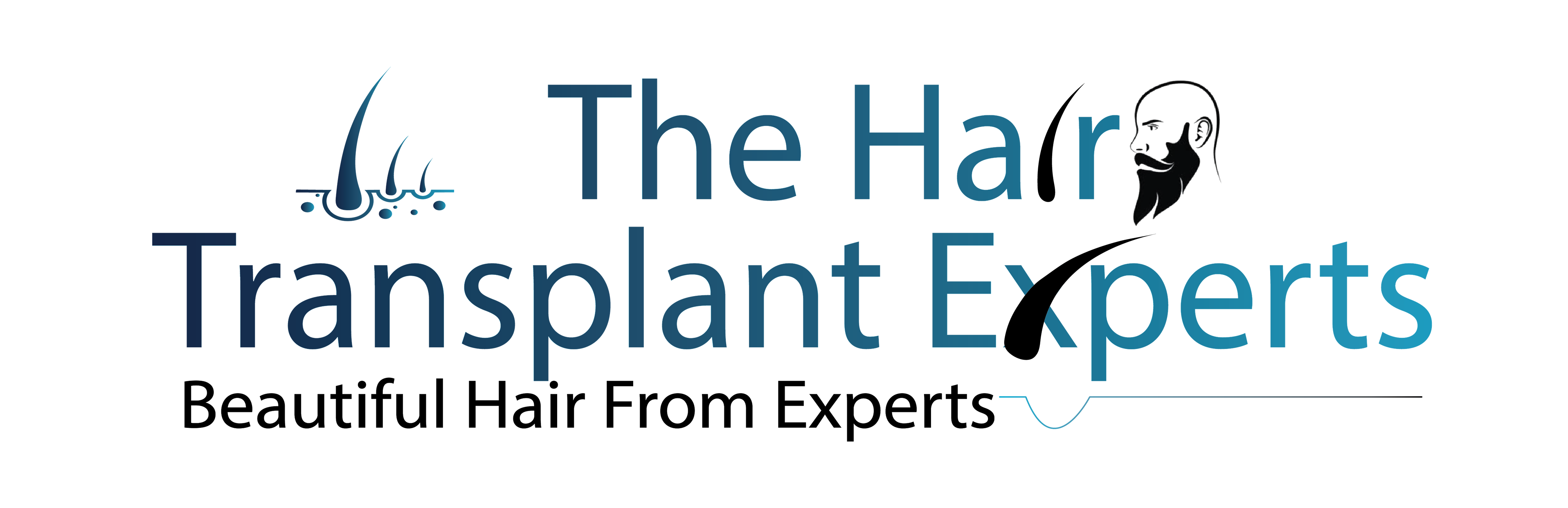 logo png (1)